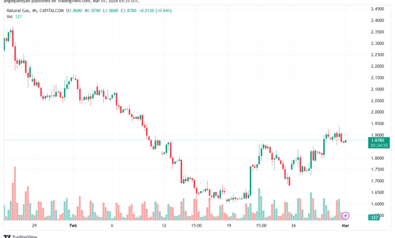 تحليل الغاز الطبيعي 132024 NATURAL GAS
