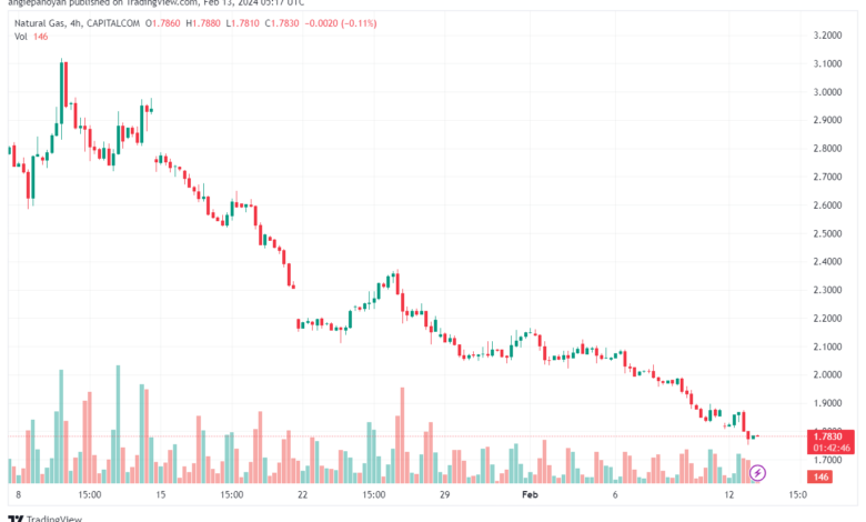 تحليل الغاز الطبيعي 1322024 NATURAL GAS