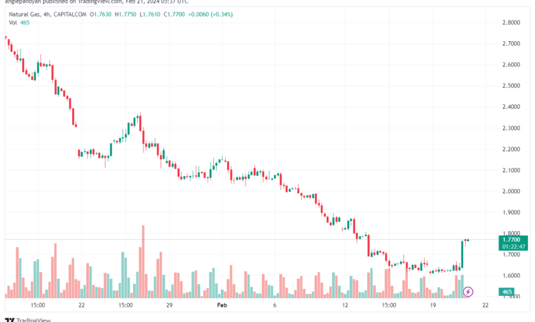 تحليل الغاز الطبيعي 2122024 NATURAL GAS