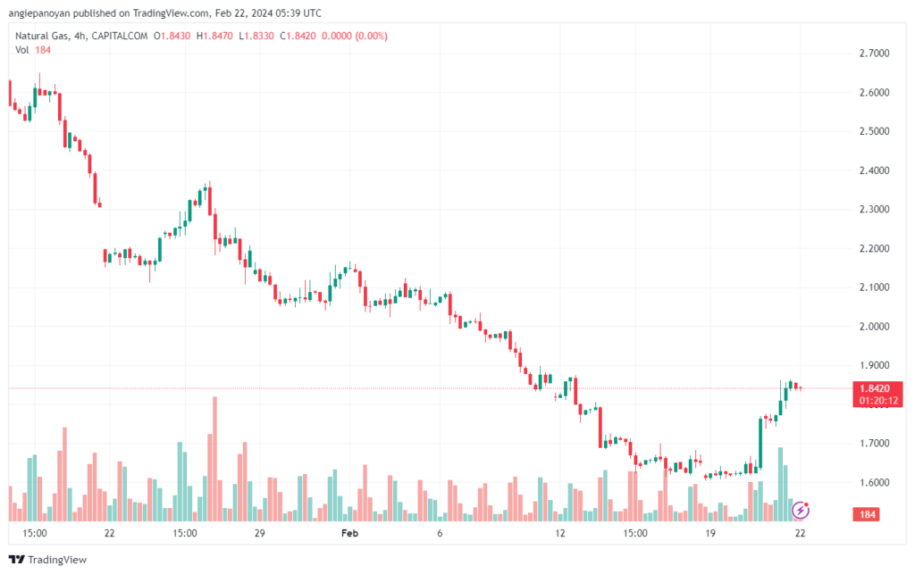 تحليل الغاز الطبيعي 2222024 NATURAL GAS