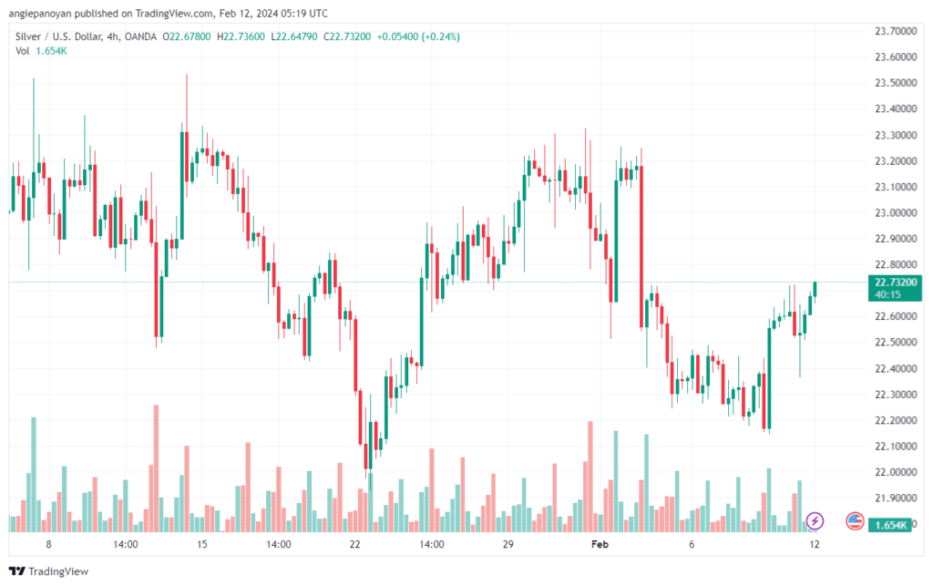تحليل الفضة 1222024 SILVER XAGUSD