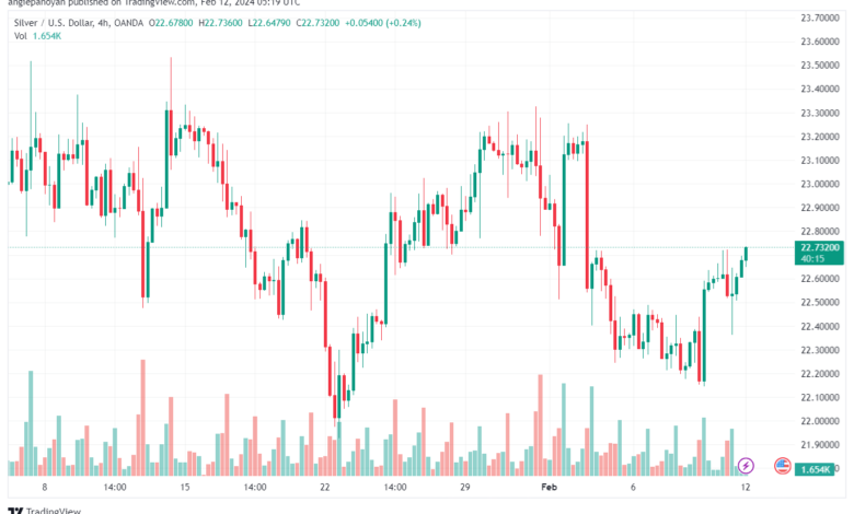 تحليل الفضة 1222024 SILVER XAGUSD