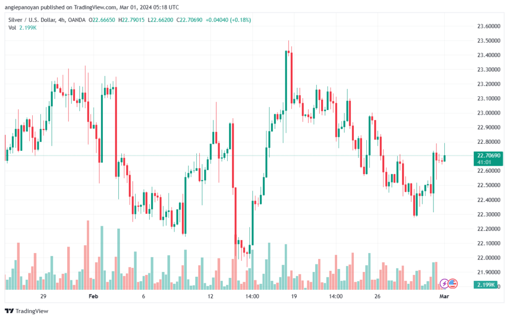 تحليل الفضة 132024 SILVER XAGUSD