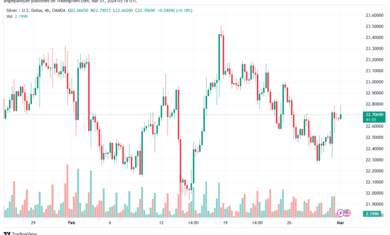 تحليل الفضة 132024 SILVER XAGUSD