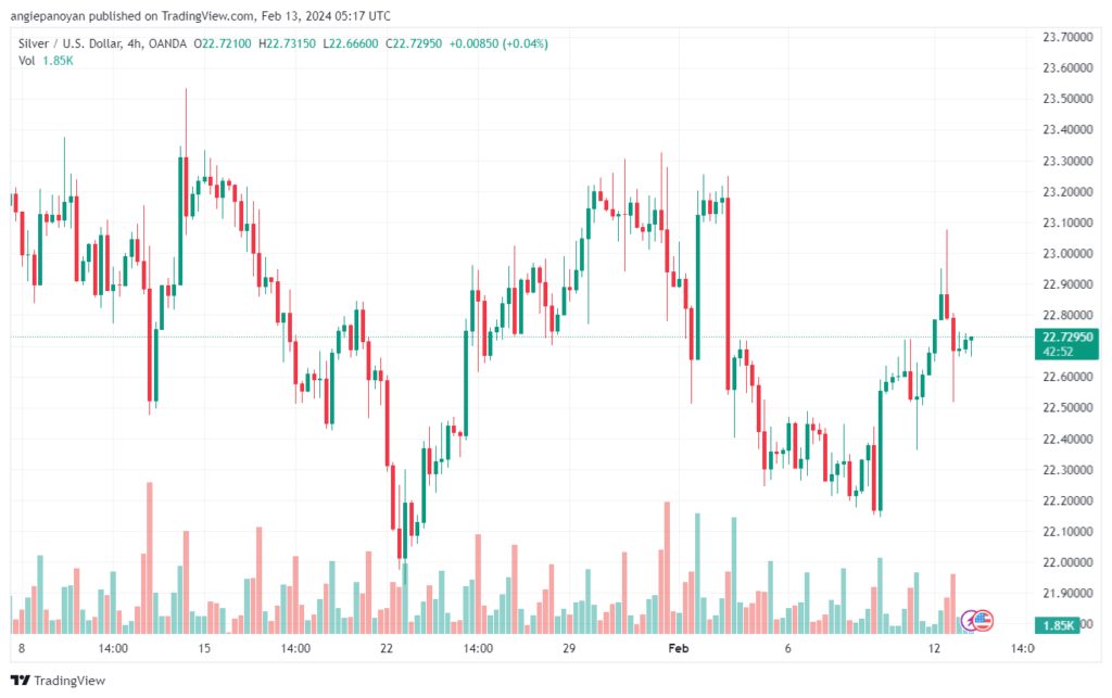 تحليل الفضة 1322024 SILVER XAGUSD