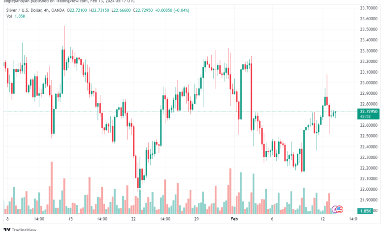 تحليل الفضة 1322024 SILVER XAGUSD