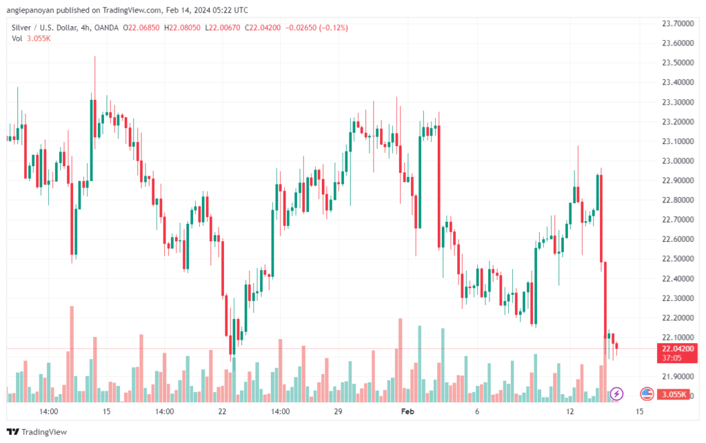 تحليل الفضة 1422024 SILVER XAGUSD