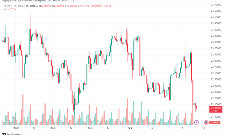تحليل الفضة 1422024 SILVER XAGUSD