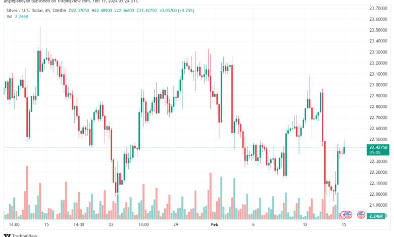 تحليل الفضة 1522024 SILVER XAGUSD