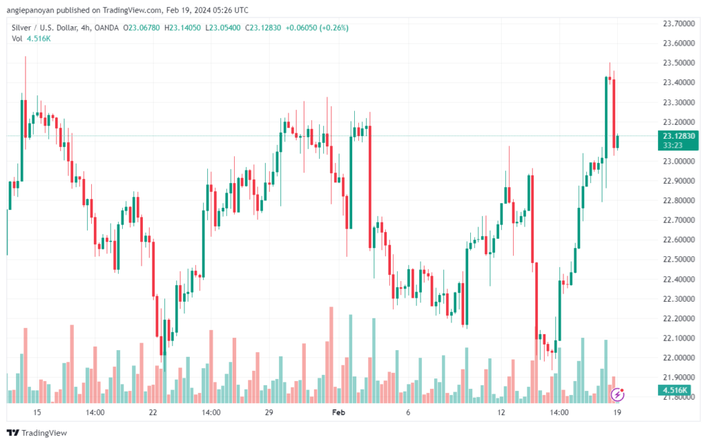 تحليل الفضة 1922024 SILVER XAGUSD