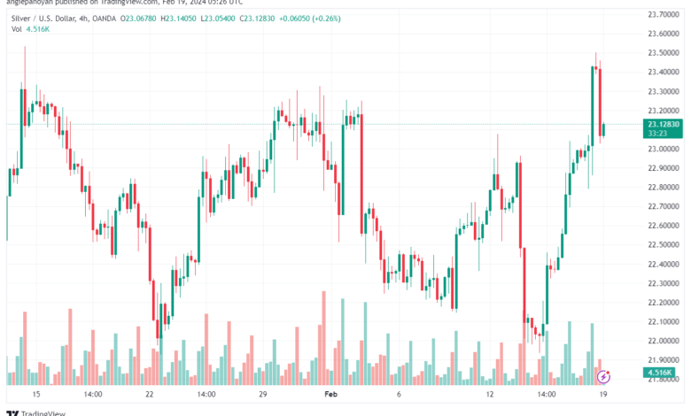 تحليل الفضة 1922024 SILVER XAGUSD