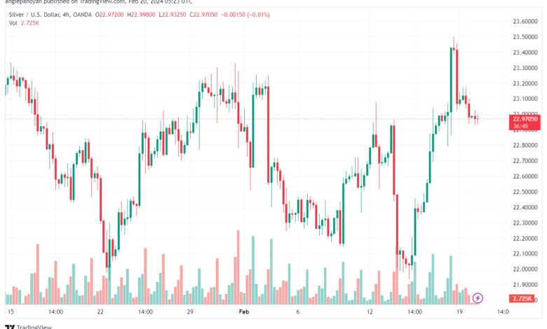 تحليل الفضة 2022024 SILVER XAGUSD