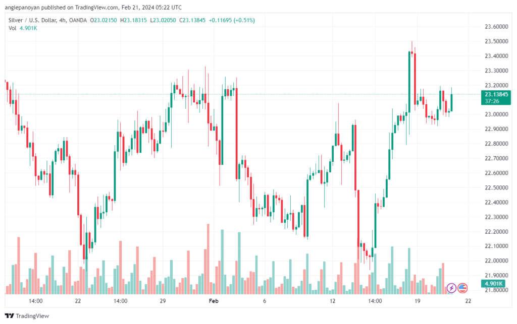 تحليل الفضة 2122024 SILVER XAGUSD
