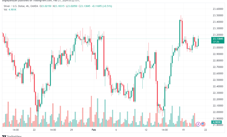 تحليل الفضة 2122024 SILVER XAGUSD