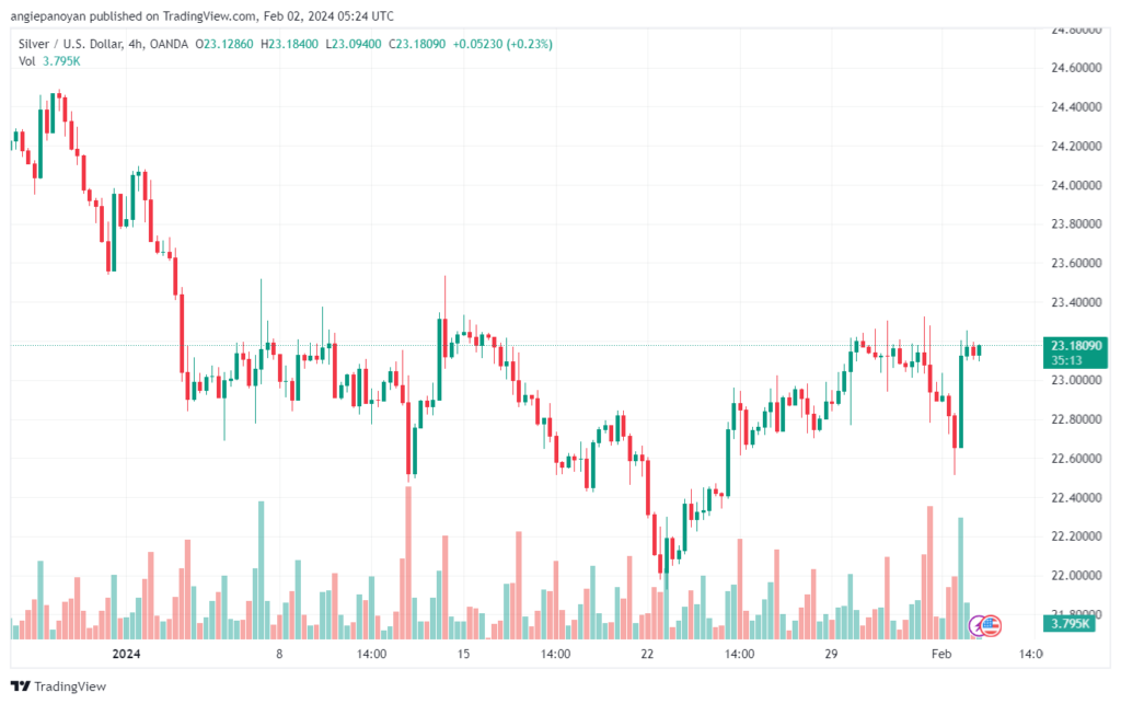 تحليل الفضة 222024 SILVER XAGUSD