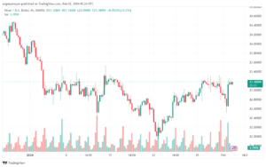 تحليل الفضة 222024 SILVER XAGUSD