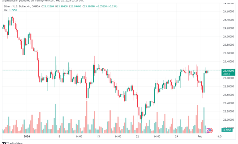 تحليل الفضة 222024 SILVER XAGUSD