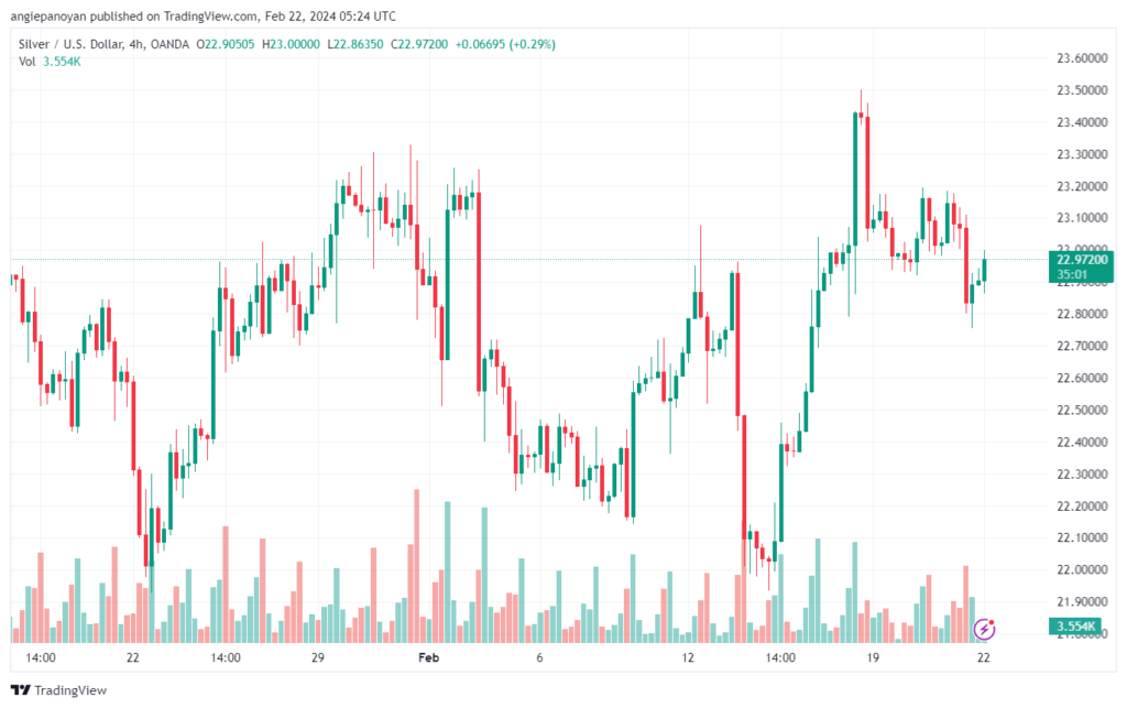 تحليل الفضة 2222024 SILVER XAGUSD