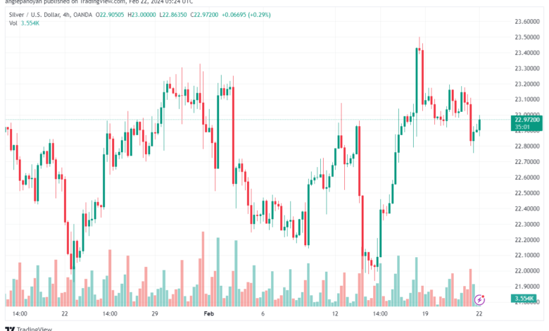 تحليل الفضة 2222024 SILVER XAGUSD