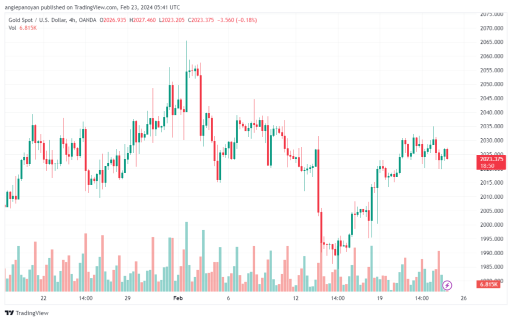 تحليل الفضة 2322024 SILVER XAGUSD