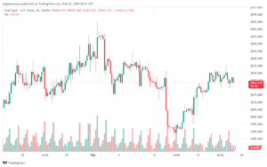 تحليل الفضة 2322024 SILVER XAGUSD