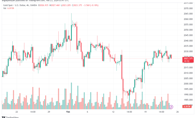 تحليل الفضة 2322024 SILVER XAGUSD