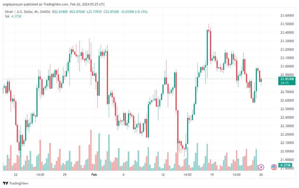 تحليل الفضة 2622024 SILVER XAGUSD