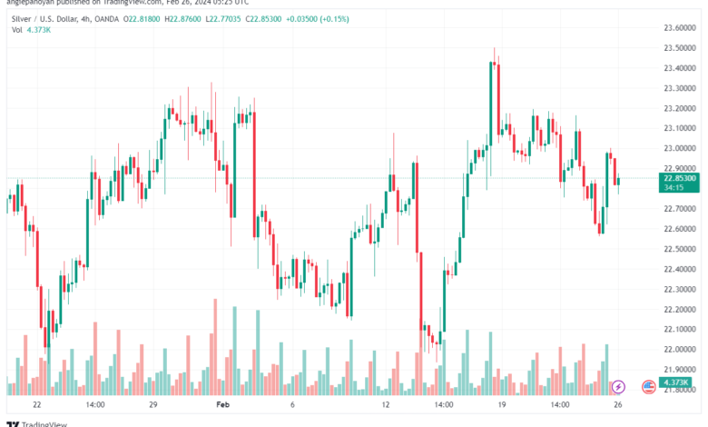 تحليل الفضة 2622024 SILVER XAGUSD