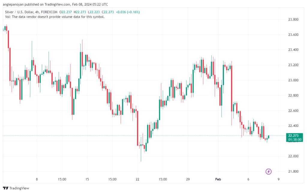 تحليل الفضة 822024 SILVER XAGUSD