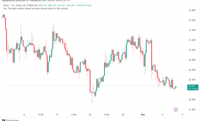 تحليل الفضة 822024 SILVER XAGUSD