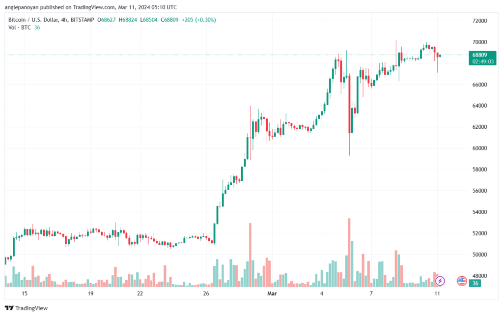 تحليل البتكوين دولار BTCUSD - 1132024