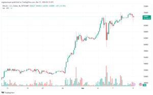 تحليل البتكوين دولار BTCUSD - 1132024