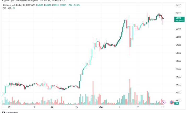 تحليل البتكوين دولار BTCUSD - 1132024