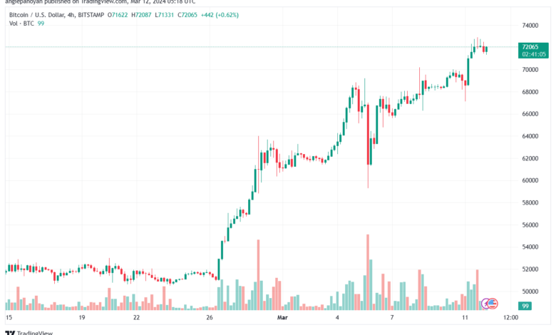 تحليل البتكوين دولار BTCUSD - 1232024