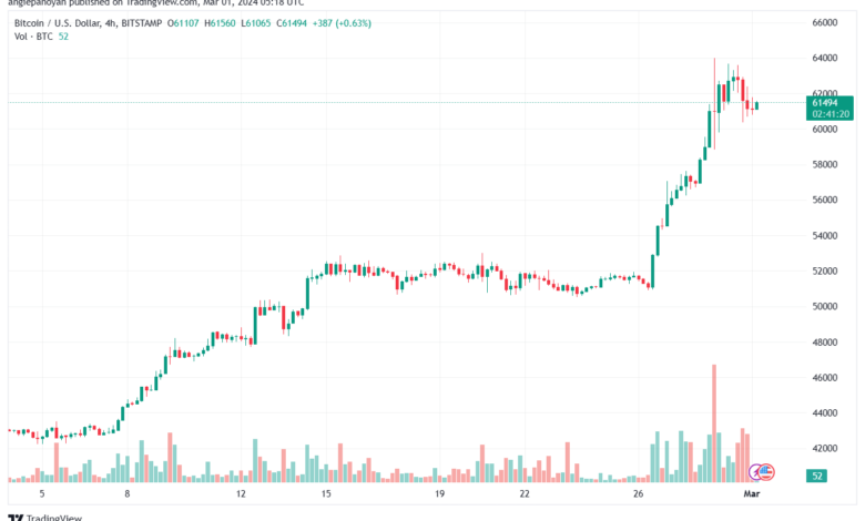 تحليل البتكوين دولار BTCUSD - 132024