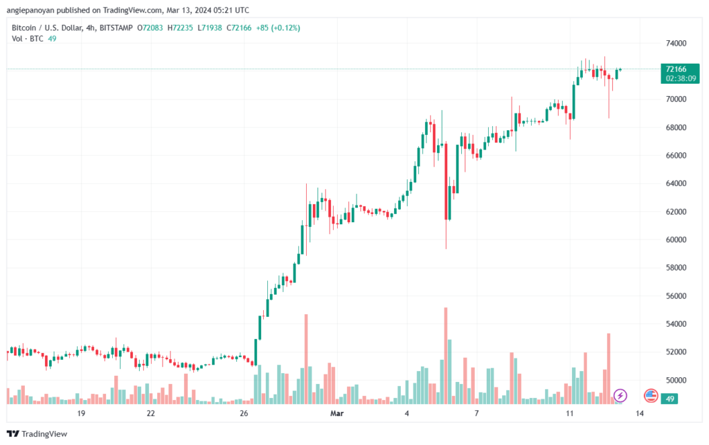 تحليل البتكوين دولار BTCUSD - 1332024