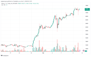 تحليل البتكوين دولار BTCUSD - 1332024