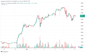 تحليل البتكوين دولار BTCUSD - 1832024