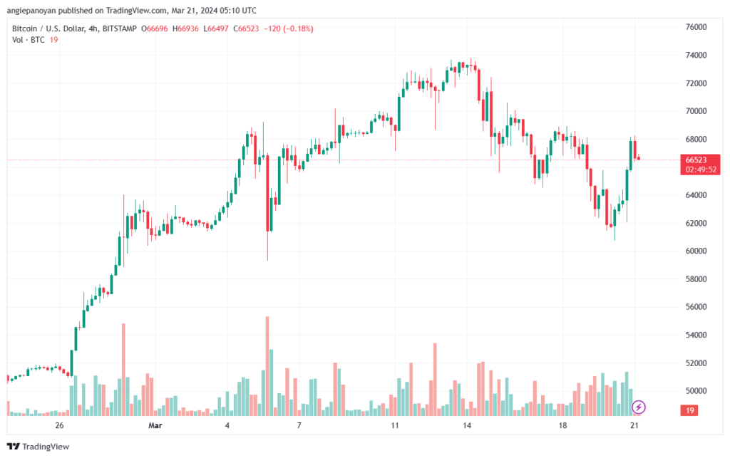 تحليل البتكوين دولار BTCUSD - 2132024