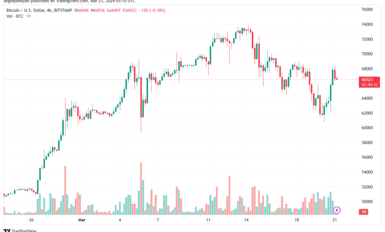 تحليل البتكوين دولار BTCUSD - 2132024