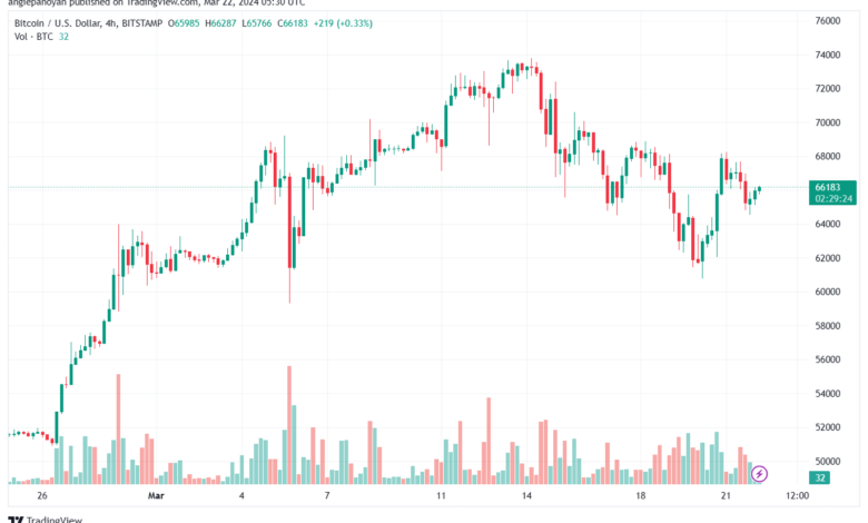 تحليل البتكوين دولار BTCUSD - 2232024