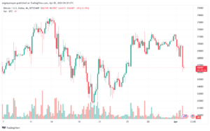 تحليل البتكوين دولار BTCUSD - 242024