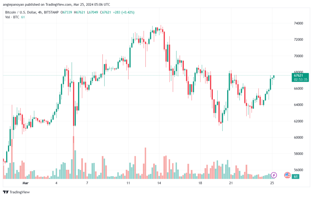 تحليل البتكوين دولار BTCUSD - 2532024