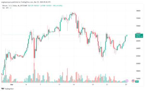 تحليل البتكوين دولار BTCUSD - 2532024
