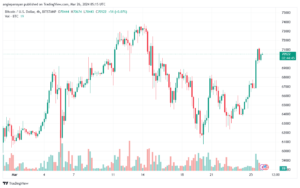 تحليل البتكوين دولار BTCUSD - 2632024
