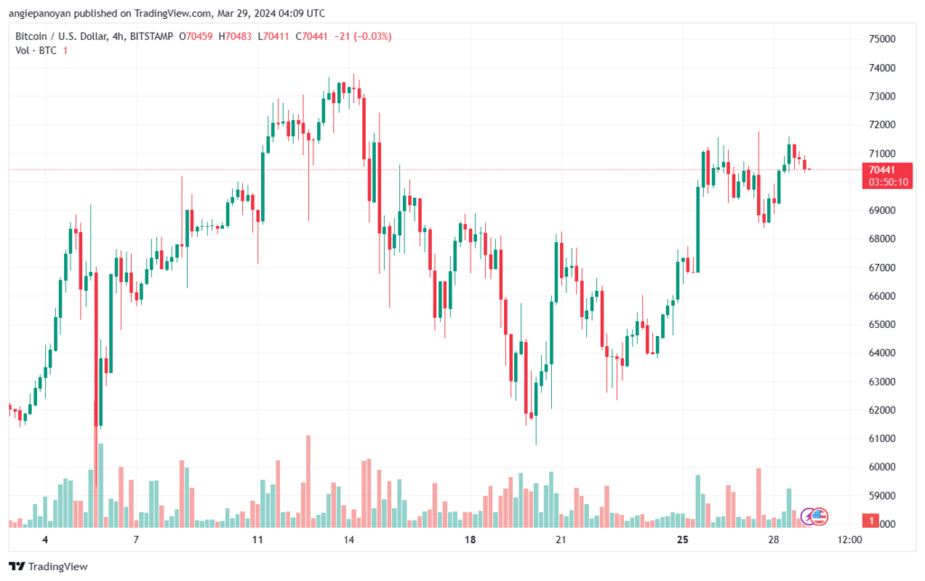 تحليل البتكوين دولار BTCUSD - 2932024