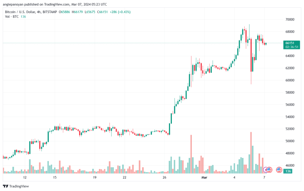 تحليل البتكوين دولار BTCUSD - 732024