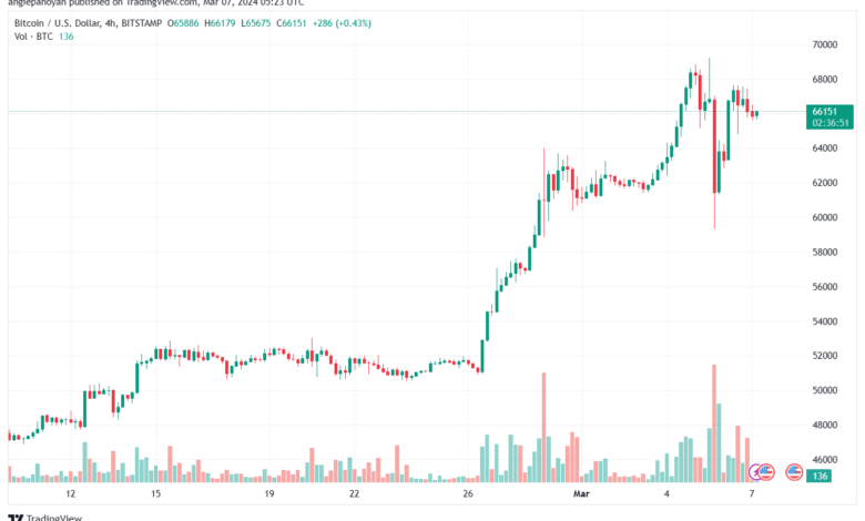 تحليل البتكوين دولار BTCUSD - 732024