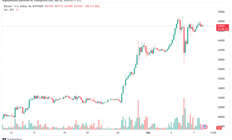 تحليل البتكوين دولار BTCUSD - 832024
