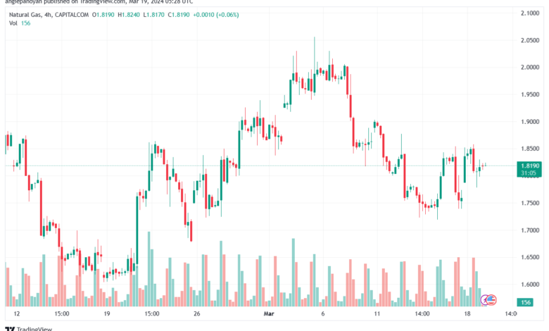 تحليل الغاز الطبيعي 1932024 NATURAL GAS